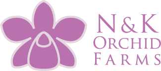 N & K Orchid Farms
